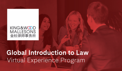 Global Introduction to Law Program